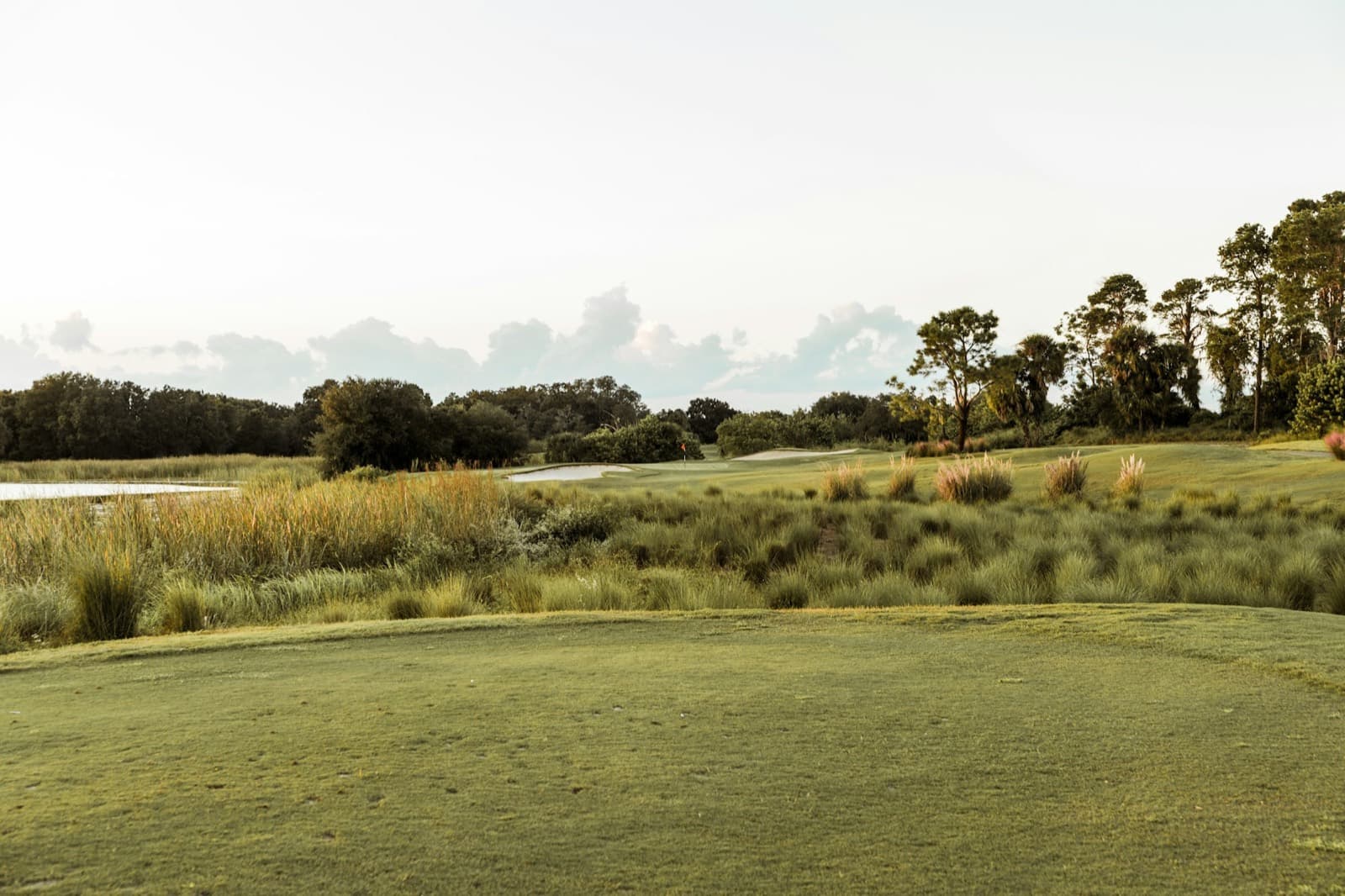A fairway framed by native grasses and pines