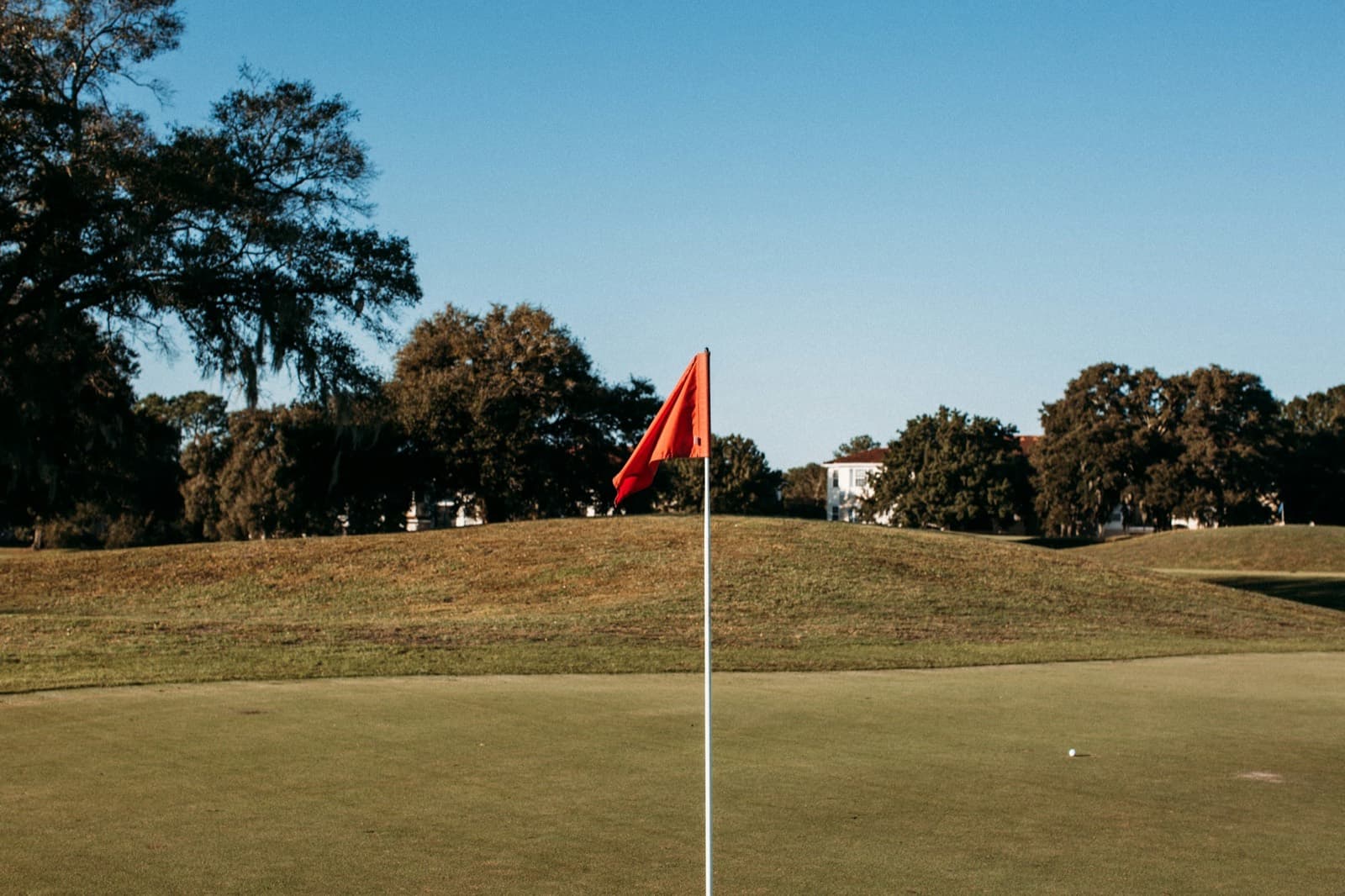 A red flag on a green, with live oaks behind it